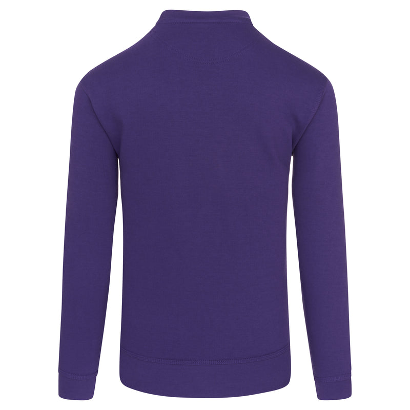 ORN Kite Sweatshirt (cont)