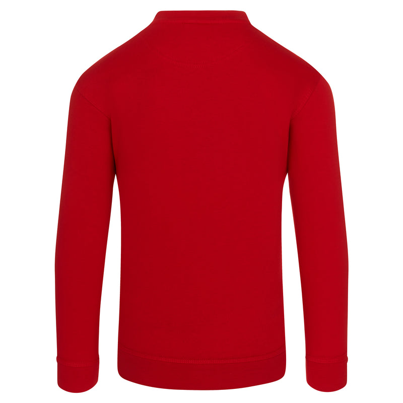 ORN Kite Sweatshirt (cont)