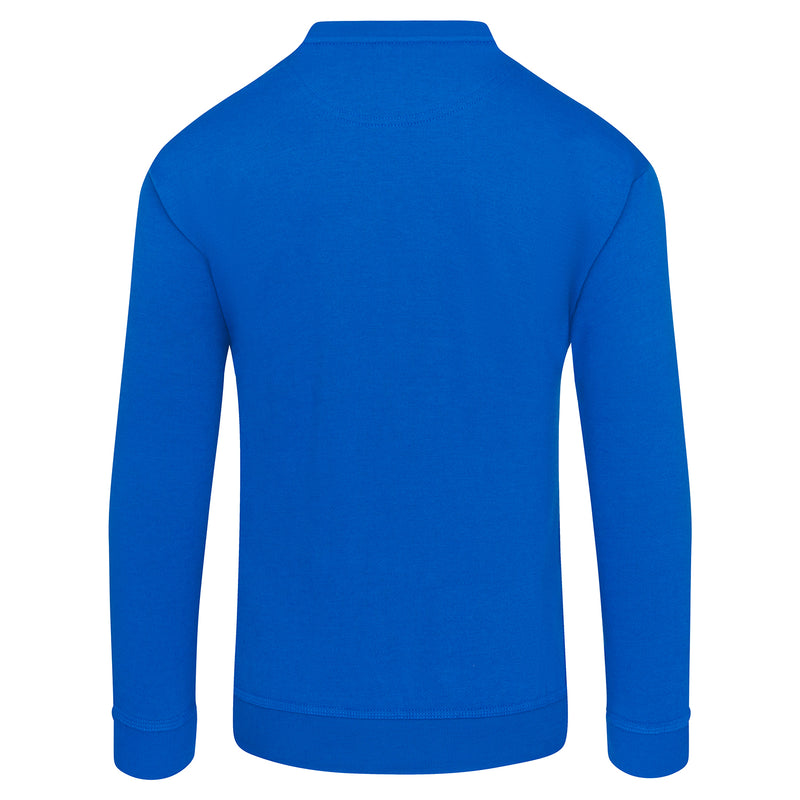 ORN Kite Sweatshirt (cont)