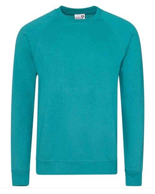 AWDis Academy Senior Academy Raglan Sweatshirt - AC001M