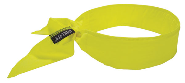 Ergodyne Evaporative Cooling Bandana