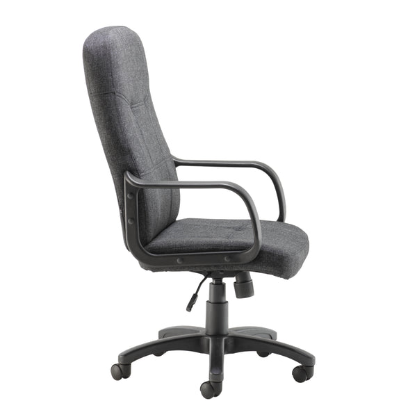 charcoal Arista Franca chair, showing its high back and lumbar support curve.