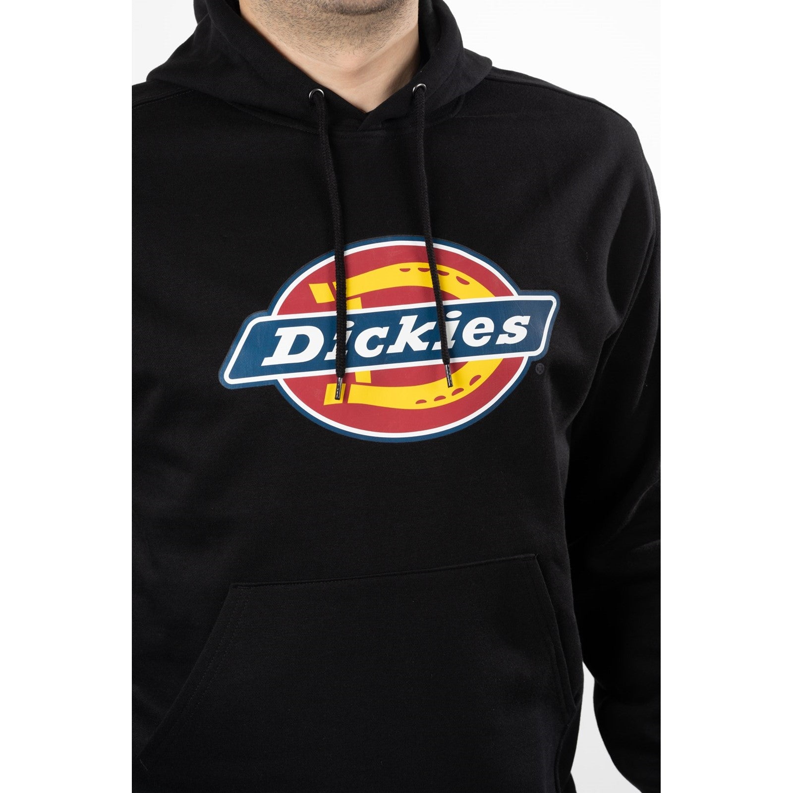 Dickies Logo Graphic Fleece Hoodie