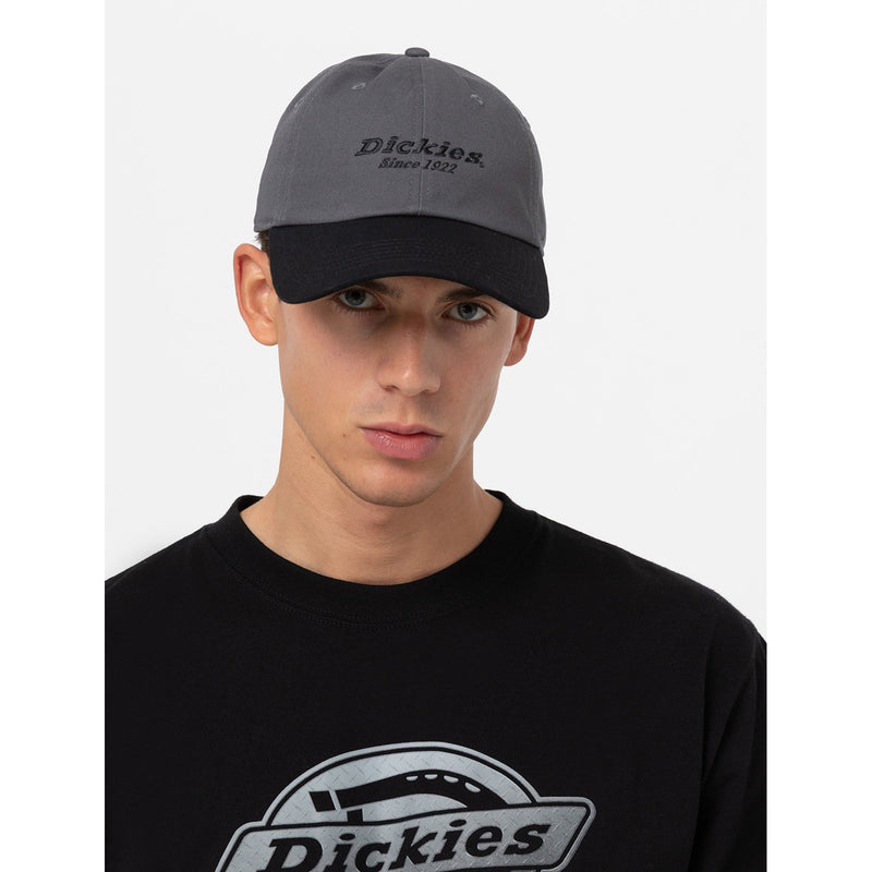 Dickies Everyday Dickies Twill Cotton Cap