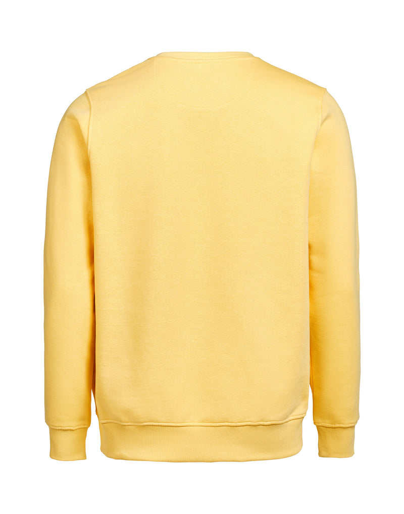Untagged Movement Crewneck Regular Fit - Ray