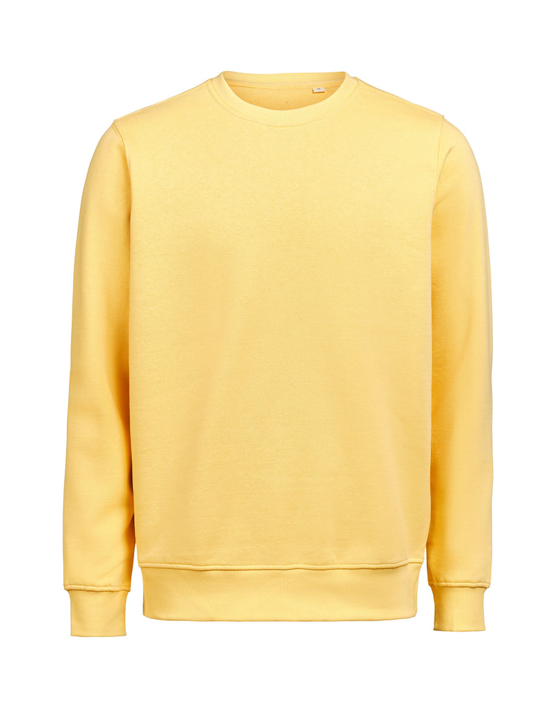 Untagged Movement Crewneck Regular Fit - Ray