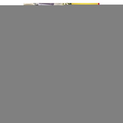 Avery Laser Address Labels 21 Per Sheet Clear L7560 – (Pack of 525)