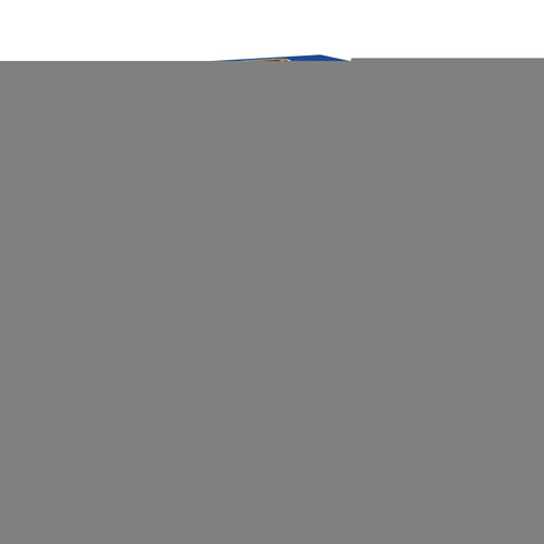 BIC 2000 Permanent Marker Bullet Tip Blue – (Pack of 12)