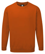 ORN Kite Sweatshirt (cont) - thumbnail 2