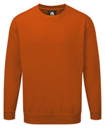 ORN Kite Sweatshirt (cont) - thumbnail 17
