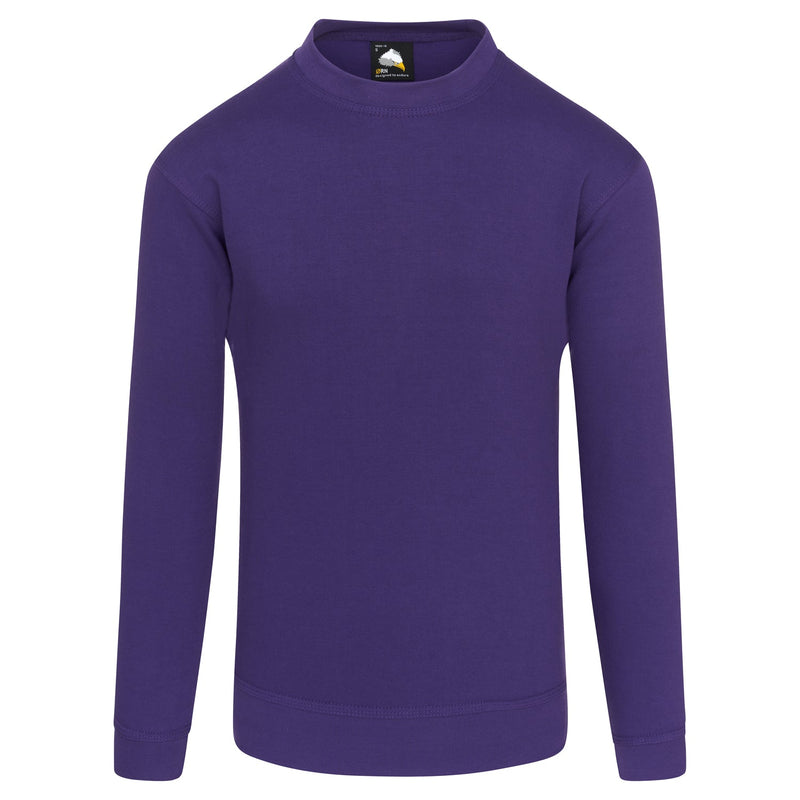 ORN Kite Sweatshirt (cont)