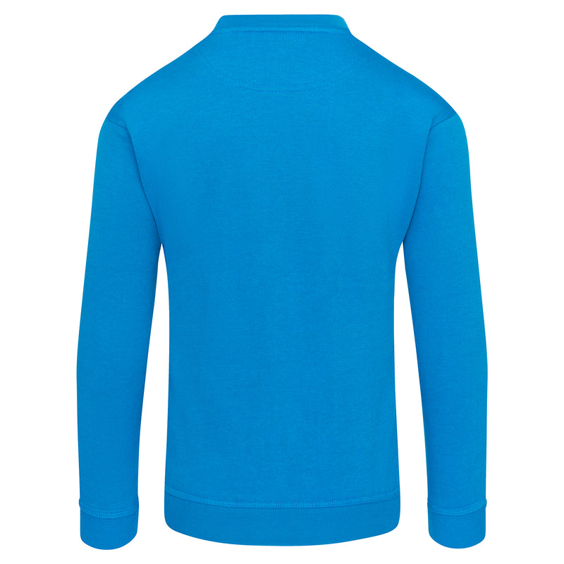 ORN Kite Sweatshirt (cont)