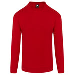 ORN Kite Sweatshirt (cont) - thumbnail 6