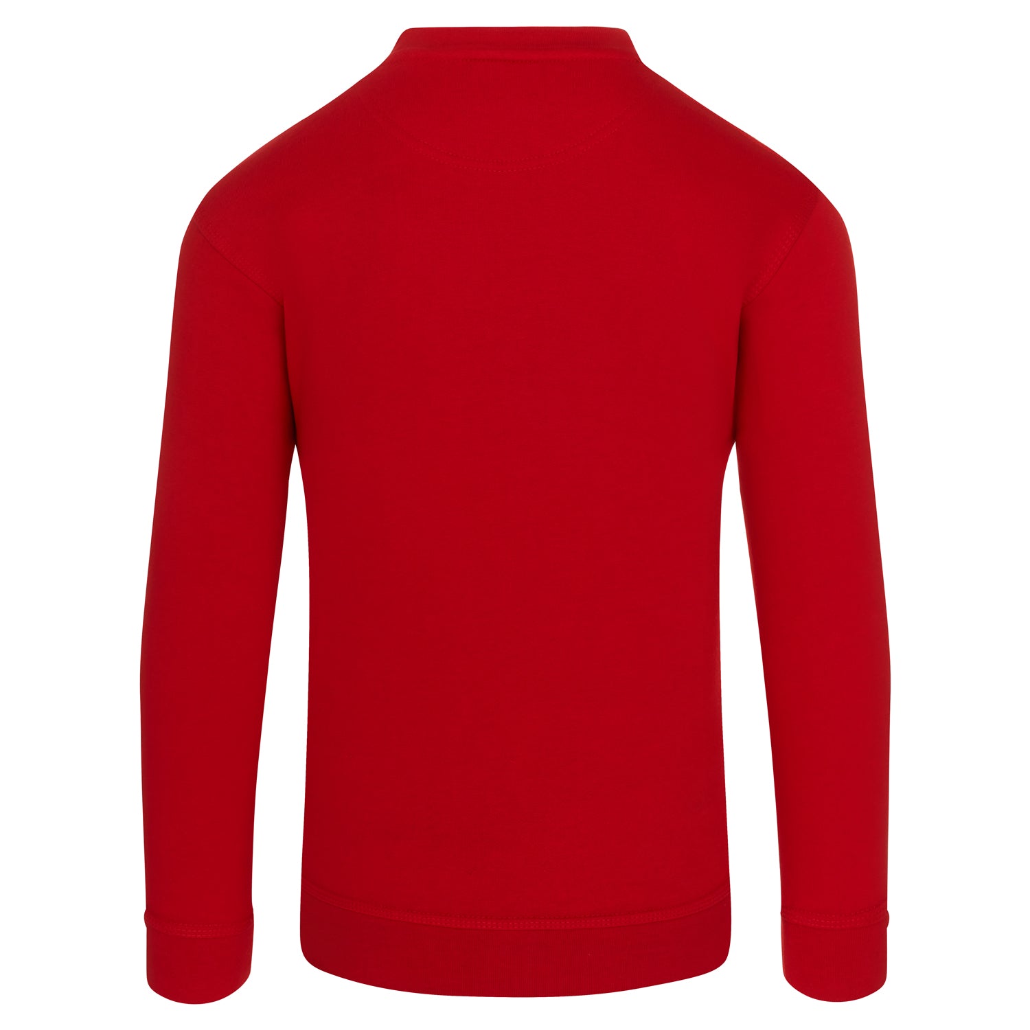 ORN Kite Sweatshirt (cont)