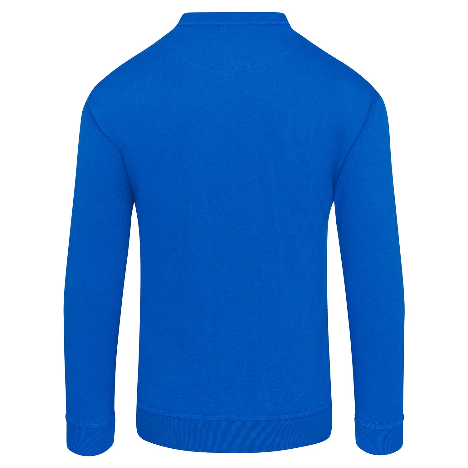ORN Kite Sweatshirt (cont)