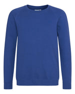 AWDis Academy Kids Academy Raglan Sweatshirt - AC001B