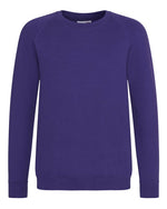 AWDis Academy Kids Academy Raglan Sweatshirt - AC001B