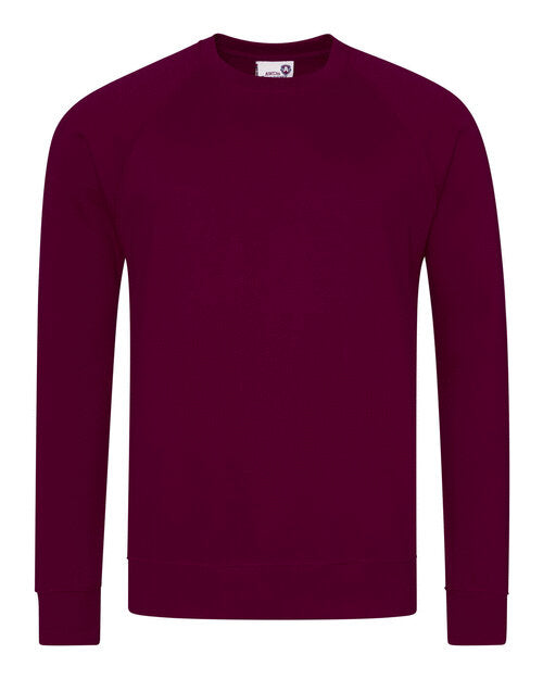 AWDis Academy Senior Academy Raglan Sweatshirt - AC001M