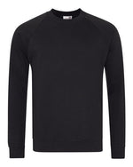 AWDis Academy Senior Academy Raglan Sweatshirt - AC001M - thumbnail 2