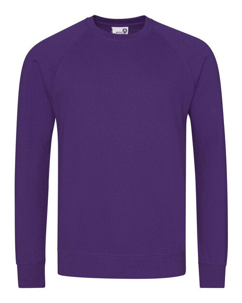 AWDis Academy Senior Academy Raglan Sweatshirt - AC001M