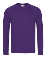 AWDis Academy Senior Academy Raglan Sweatshirt - AC001M
