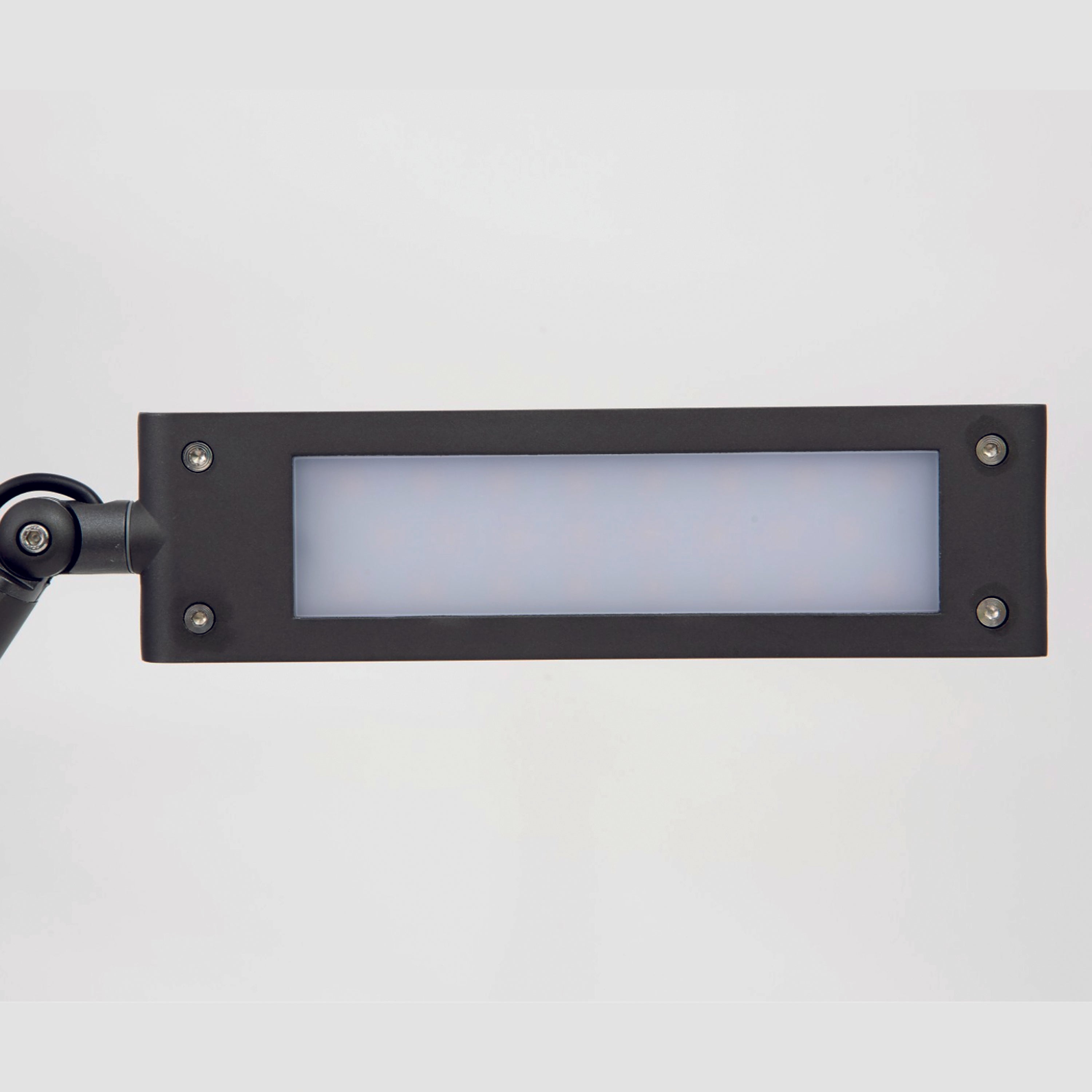 Alba LED Touch desk lamp showing adjustable head and base with sleek design