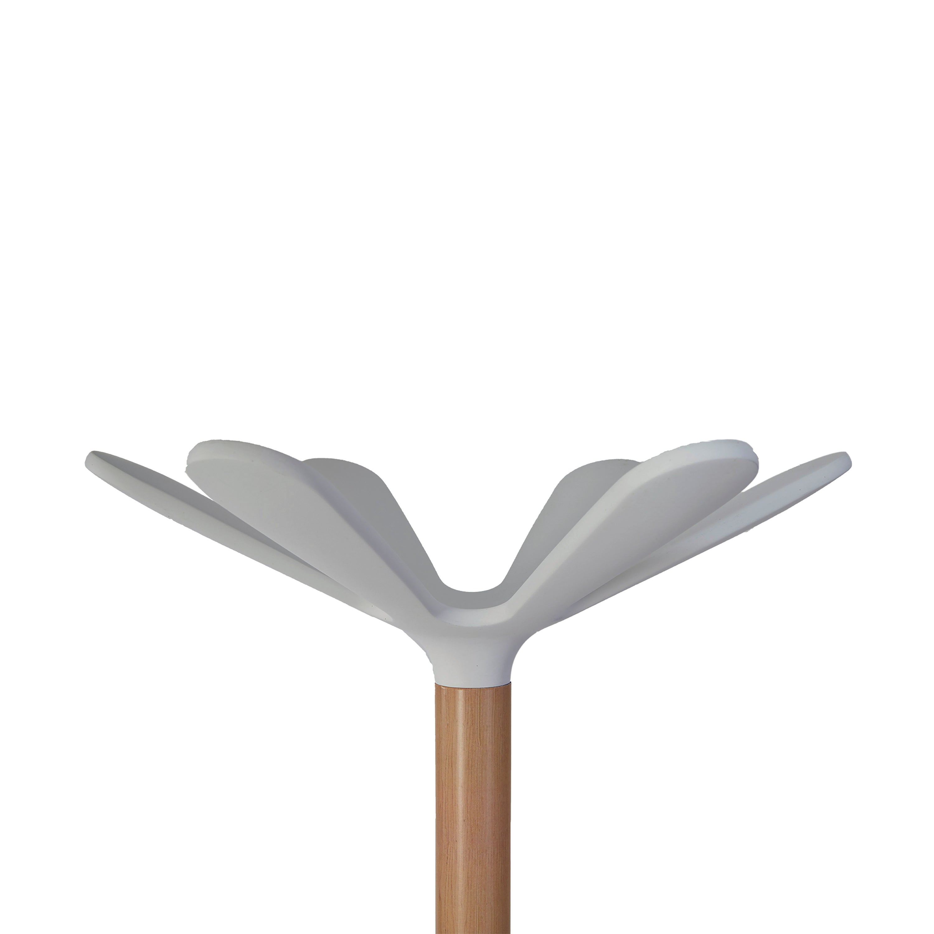 Alba modern coat stand in beechwood and white color combination