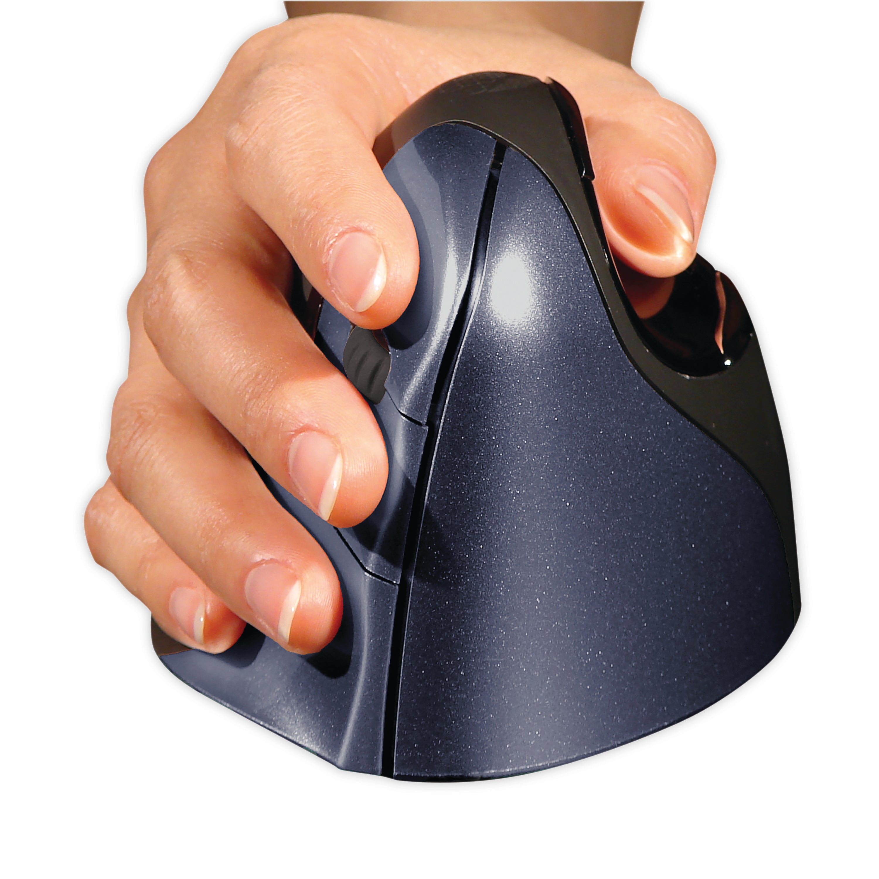 Evoluent4 wireless mouse, highlighting the sculpted thumb rest and six programmable buttons.