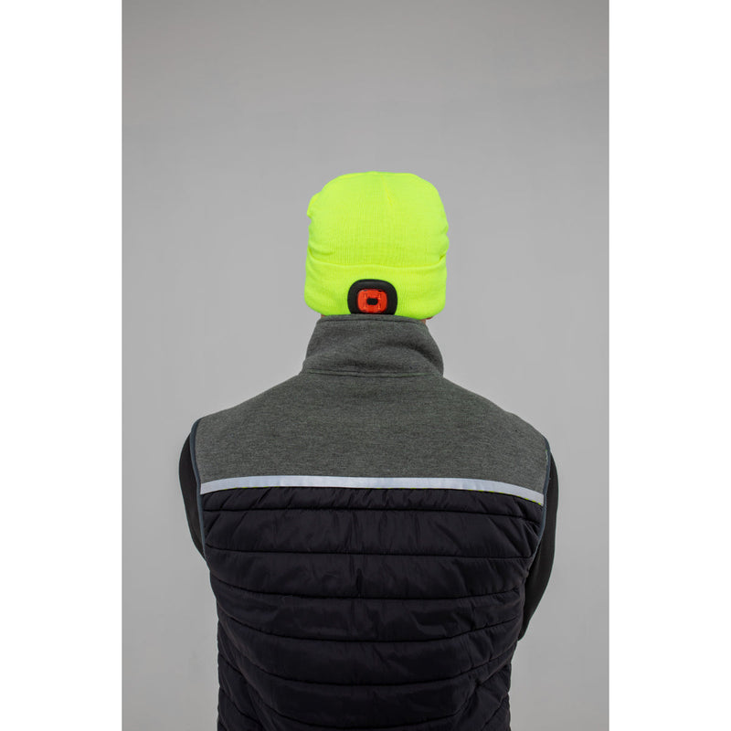 Back view of a man in a Portwest DX4 Hybrid Baffle Gilet showing insulated back panel.