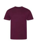 Ecologie Cascades Organic Tee - EA001M - thumbnail 4