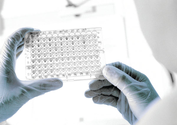 Handsafe Powder-Free Vinyl Gloves Large Clear – (Pack of 100)