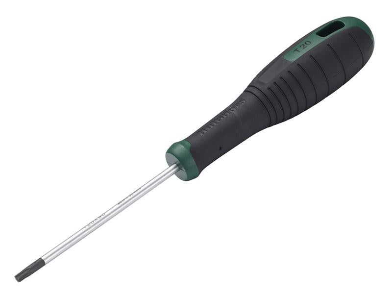 TORX Screwdriver