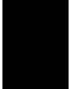 Madeira Rheingold Rayon 40 - MR003M