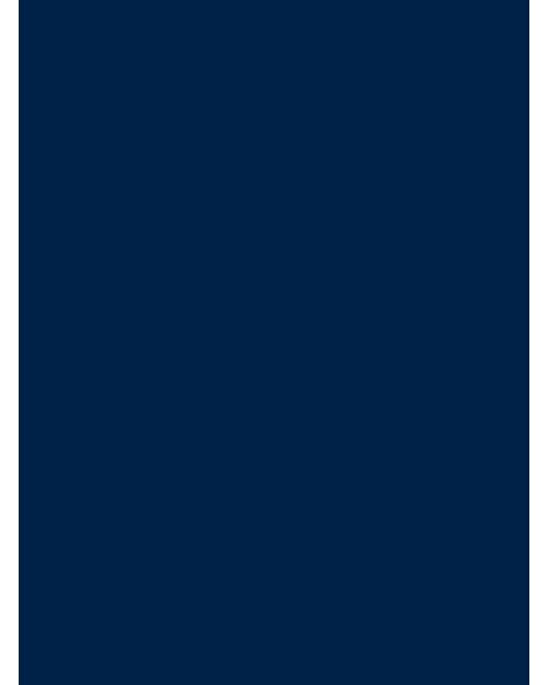 Madeira Rheingold Rayon 40 - MR003M