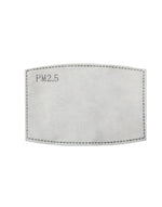 Premier PPS Pm2.5 Activated Carbon Filter (Pack Of 10) - PR797M - thumbnail 1