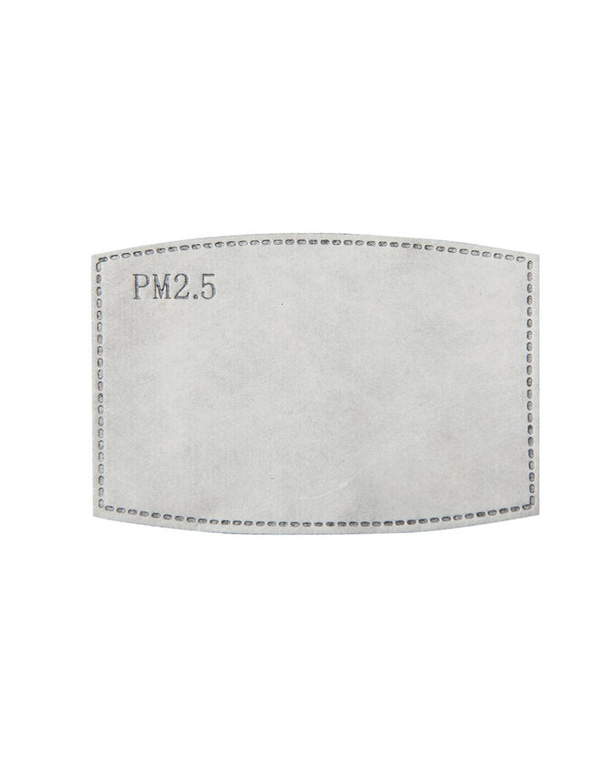 Premier PPS Pm2.5 Activated Carbon Filter (Pack Of 10) - PR797M