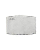 Premier PPS Pm2.5 Activated Carbon Filter (Pack Of 10) - PR797M