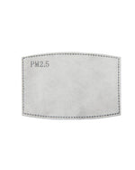Premier PPS Pm2.5 Activated Carbon Filter (Pack Of 10) - PR797M - thumbnail 2