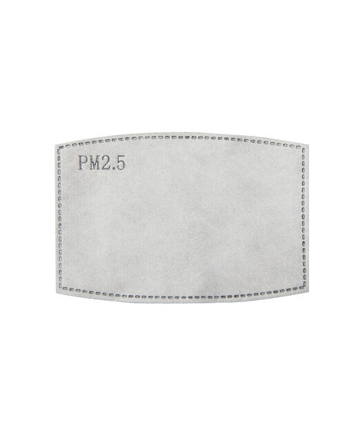Premier PPS Pm2.5 Activated Carbon Filter (Pack Of 10) - PR797M