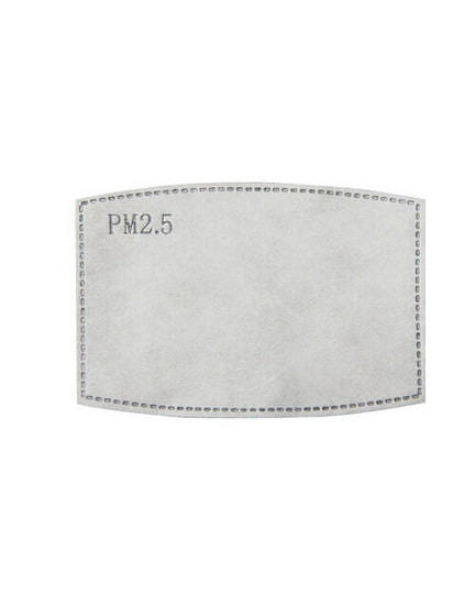 Premier PPS Pm2.5 Activated Carbon Filter (Pack Of 10) - PR797M