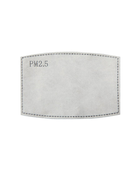 Premier PPS Pm2.5 Activated Carbon Filter (Pack Of 10) - PR797M