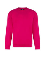 Pro RTX Standard Embroidered Sweatshirt - RX301 - thumbnail 22