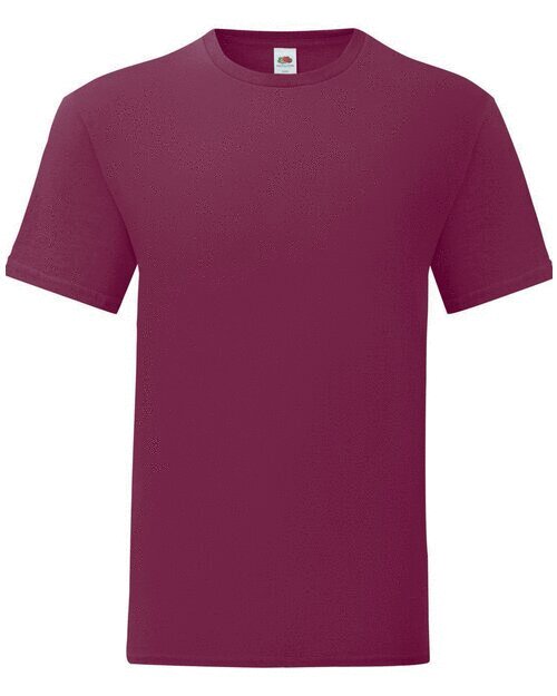 Fruit of the Loom Iconic T
