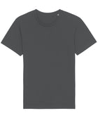 Stanley Stella Premium Rocker The Essential Unisex T-Shirt - (STTU758)