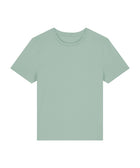 Stanley Stella Premium Women's Stella Ella Fitted T-Shirt - (STTW174)
