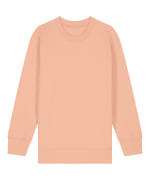 Stanley Stella Premium Kids Mini Changer 2.0 Iconic Crew Neck Sweatshirt - - thumbnail 7