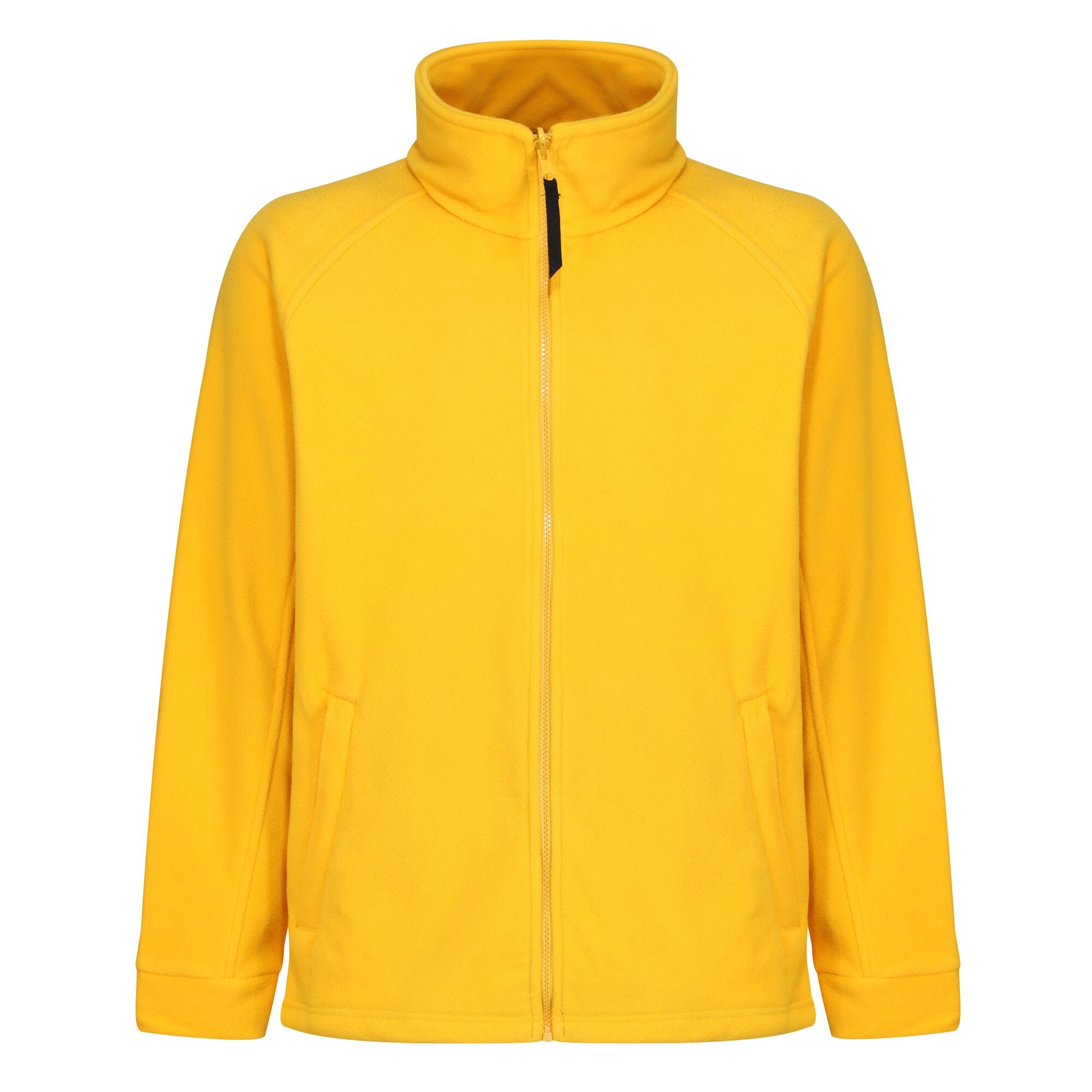 Regatta Thor III Men's Interactive Fleece