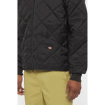 Dickies Diamond Quilted Nylon Jacket - thumbnail 5