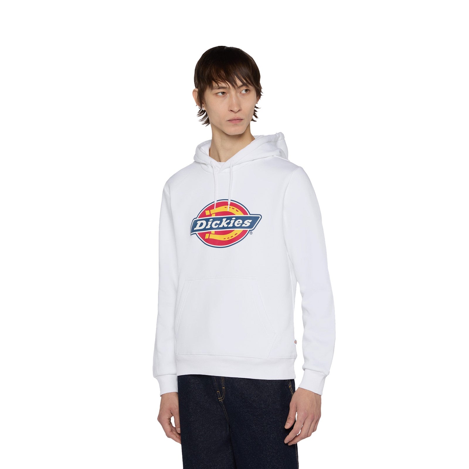 Dickies Icon Logo Hoodie