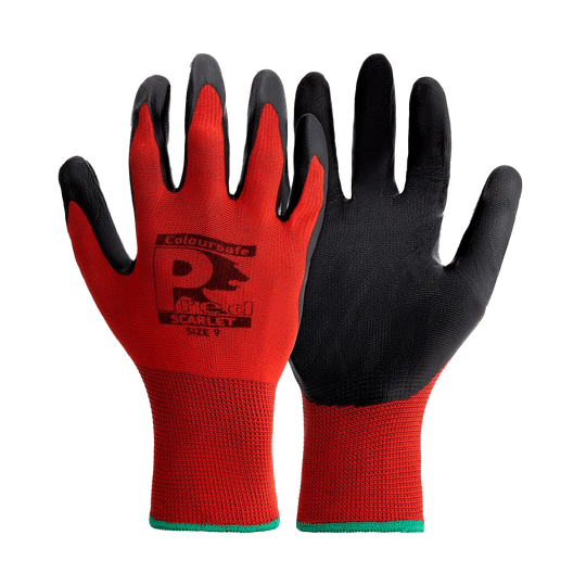 Coloursafe PredScarlet 10 pairs